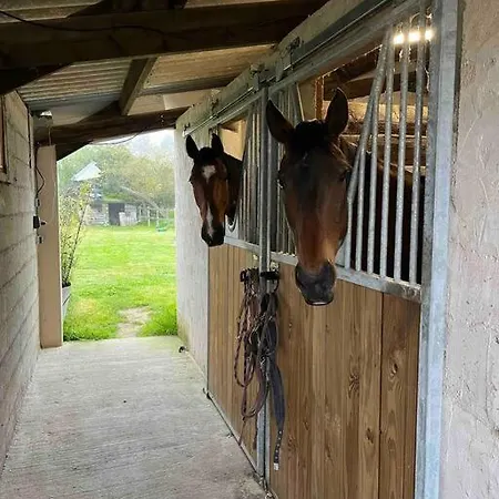 Longere En Pierre Avec Piscine Chauffee *