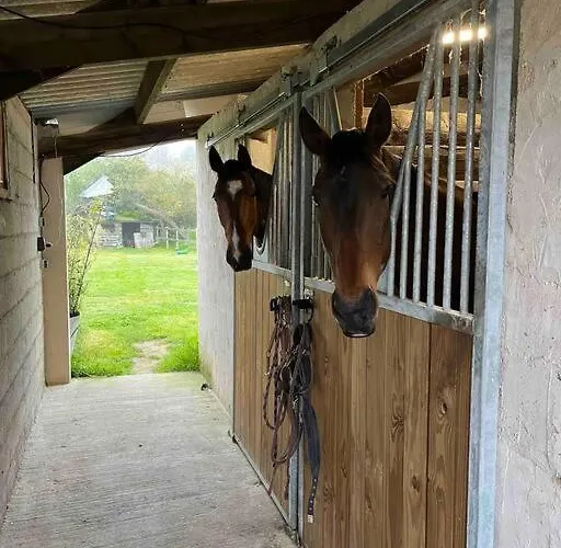 Longere En Pierre Avec Piscine Chauffee *